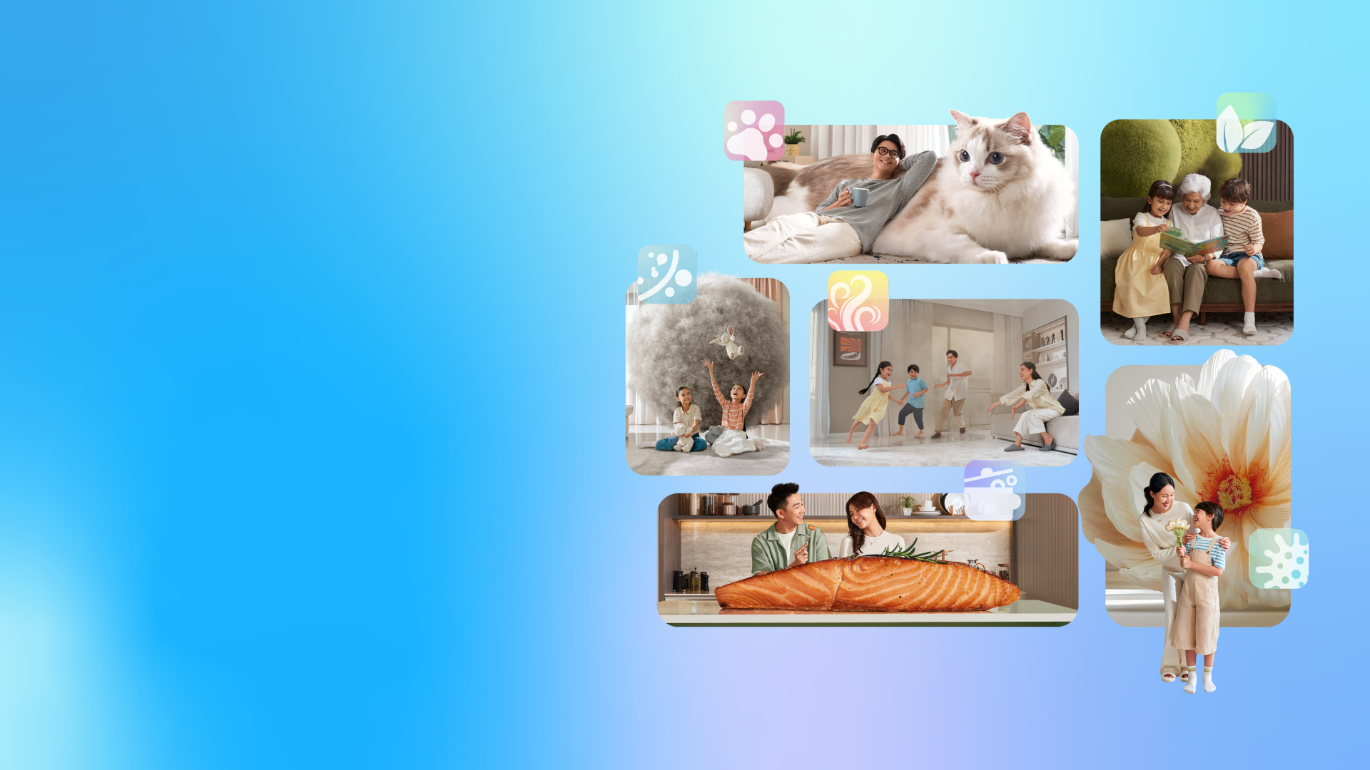 Coway Air Matching Filter Programme