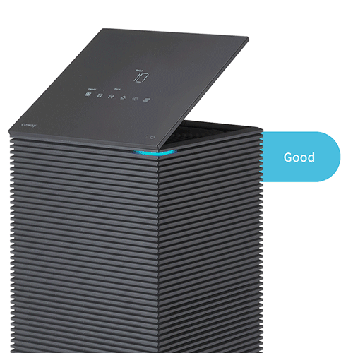 Coway Noble 2 - Real Time Air Quality AT A Glance