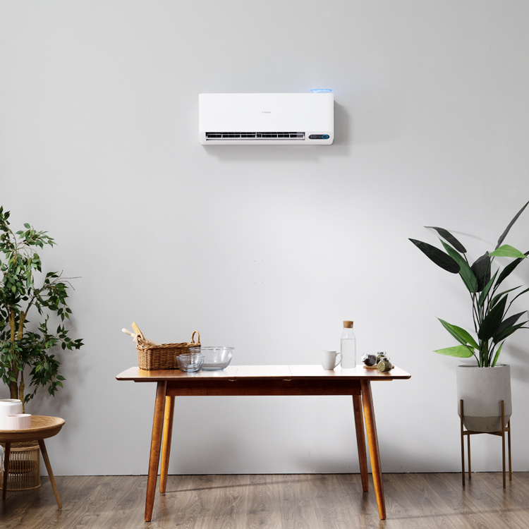 Coway Air Conditioner In Living Room