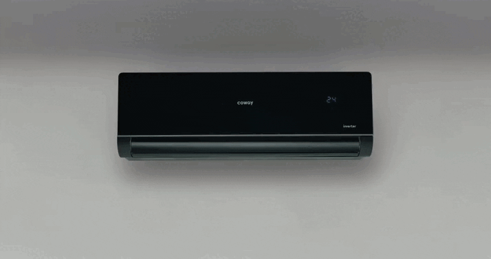 Coway P-Series Product Video