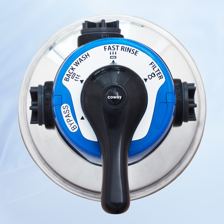 Coway Bamboo Plus - Top View