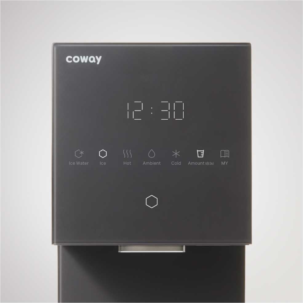 Coway Icon Ice Filters